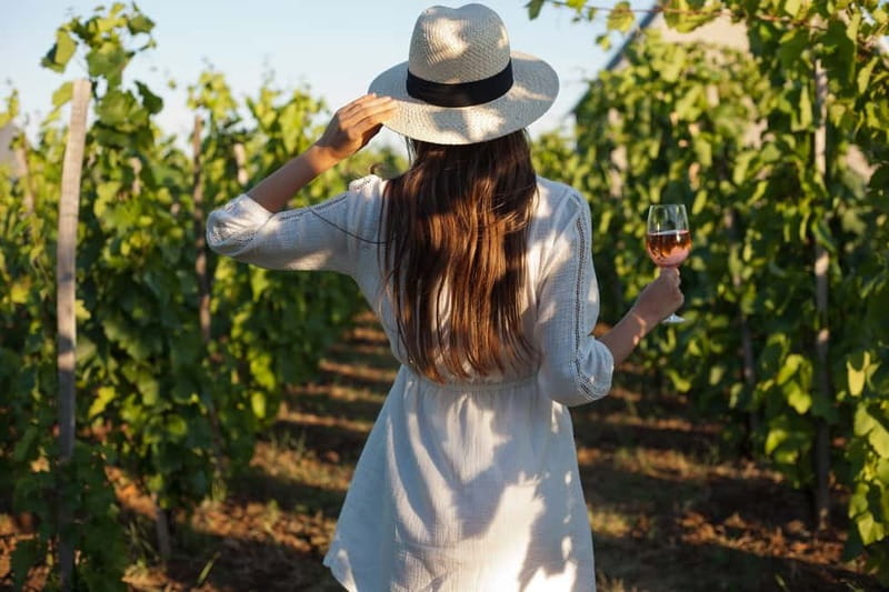 From Siena/Chianti: Dinner & Drinks in the Chianti Vineyards - Key highlights that make this Chianti evening work