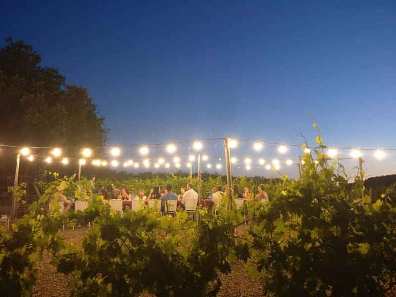 From Siena/Chianti: Dinner & Drinks in the Chianti Vineyards - What’s included in drinks, and how the wine experience really feels