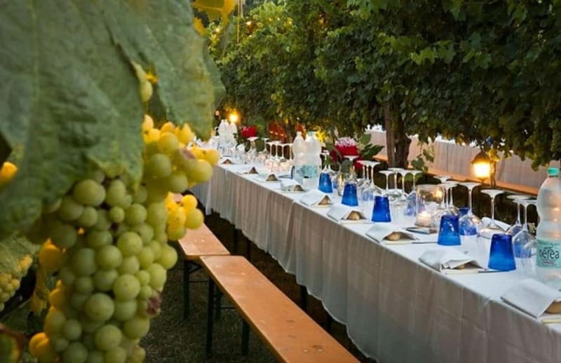 From Siena/Chianti: Dinner & Drinks in the Chianti Vineyards - Price and value: is $123.48 a fair deal?