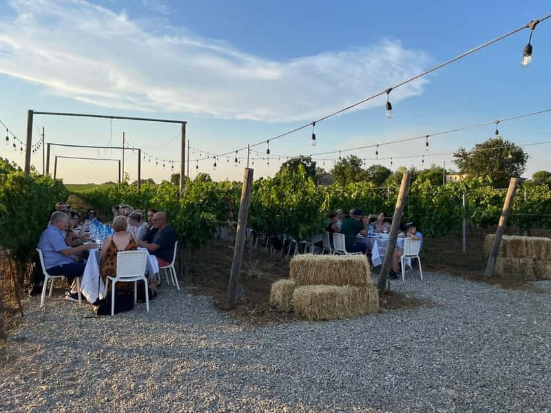 From Siena/Chianti: Dinner & Drinks in the Chianti Vineyards - A practical checklist before you go