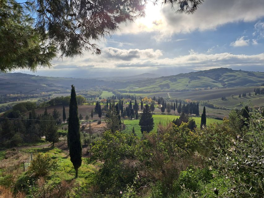From Siena: Pienza and Montepulciano Small-Group Tour - Lunch at an organic farm: pecorino tasting and a real terrace meal
