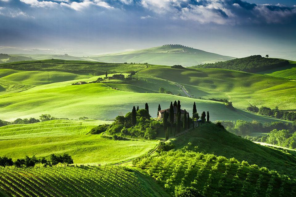 From Siena: Tuscany Hills Wine Tour - Who should book this tour, and who should skip it