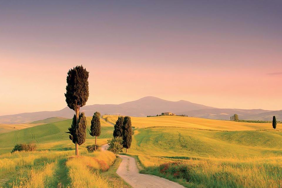 From Siena: Tuscany Hills Wine Tour - Price and value: is $146.14 worth it?
