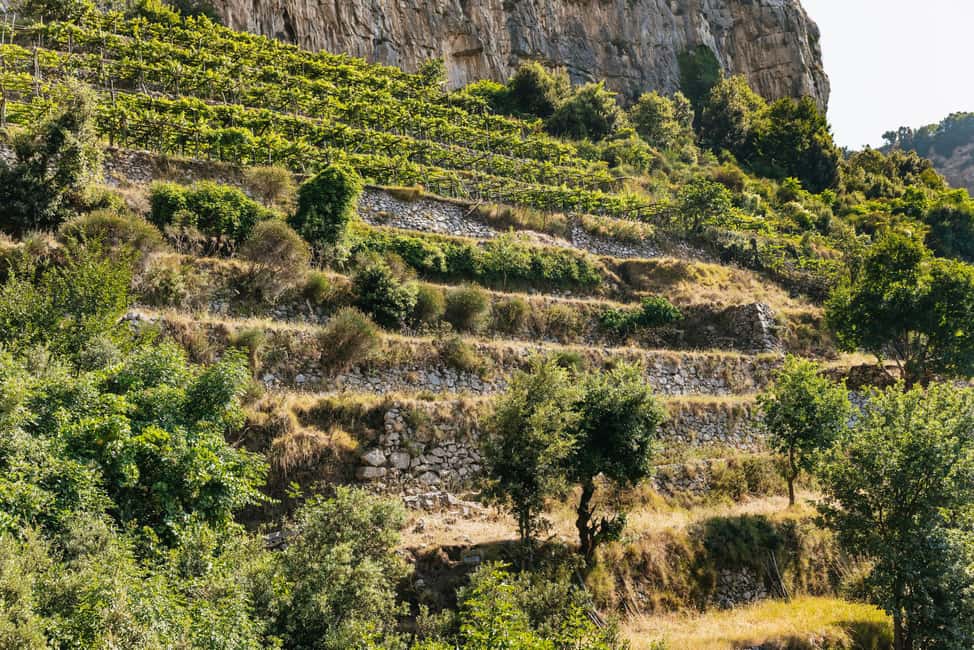 From Sorrento: Path of the Gods Guided Hike with Transfers - Difficulty and Footing: What You’re Really Signing Up For