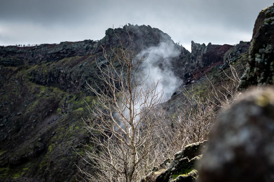 From Sorrento: Pompeii and Vesuvius Guided Tour with Lunch - Timing and pacing: the best way to avoid stress