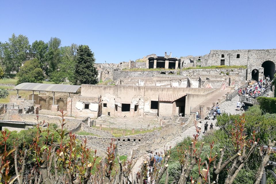 From Sorrento: Pompeii and Vesuvius Tour - Should you book the Pompeii and Vesuvius tour from Sorrento?