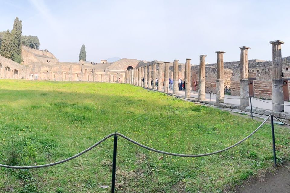 From Sorrento: Pompeii and Vesuvius Tour - Mount Vesuvius: why the timing can make or break the hike