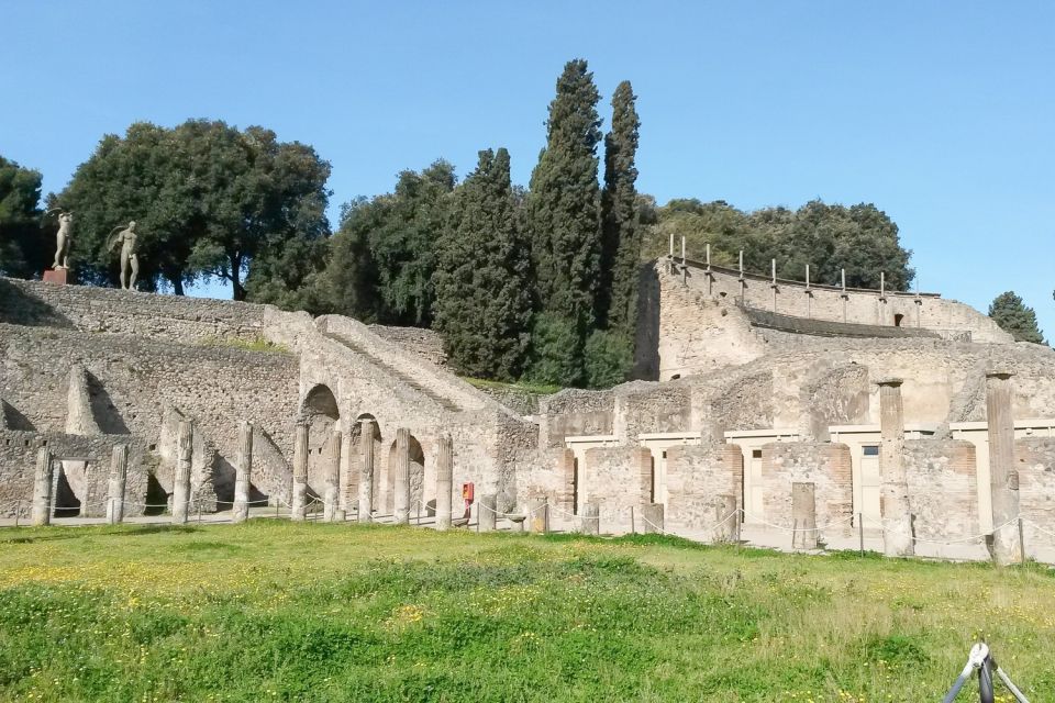 From Sorrento: Pompeii and Vesuvius Tour - The crater walk: lava paths, steep steps, and “no flip-flops” energy