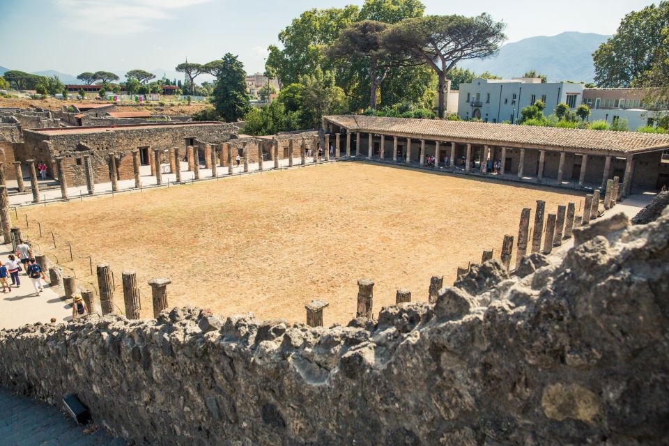 From Sorrento: Pompeii Half-Day Skip-the-Line Tour - Your guide matters: what languages and styles you can expect
