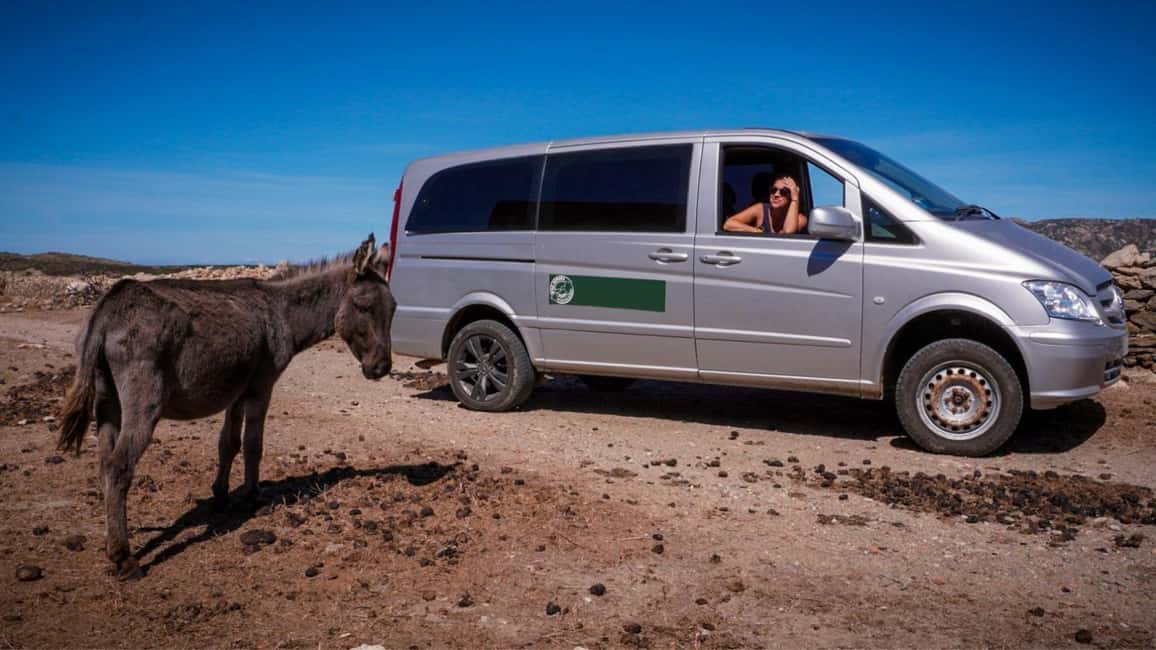 From Stintino: Asinara minivan tour - Price and Value for an 8-Hour Asinara Day