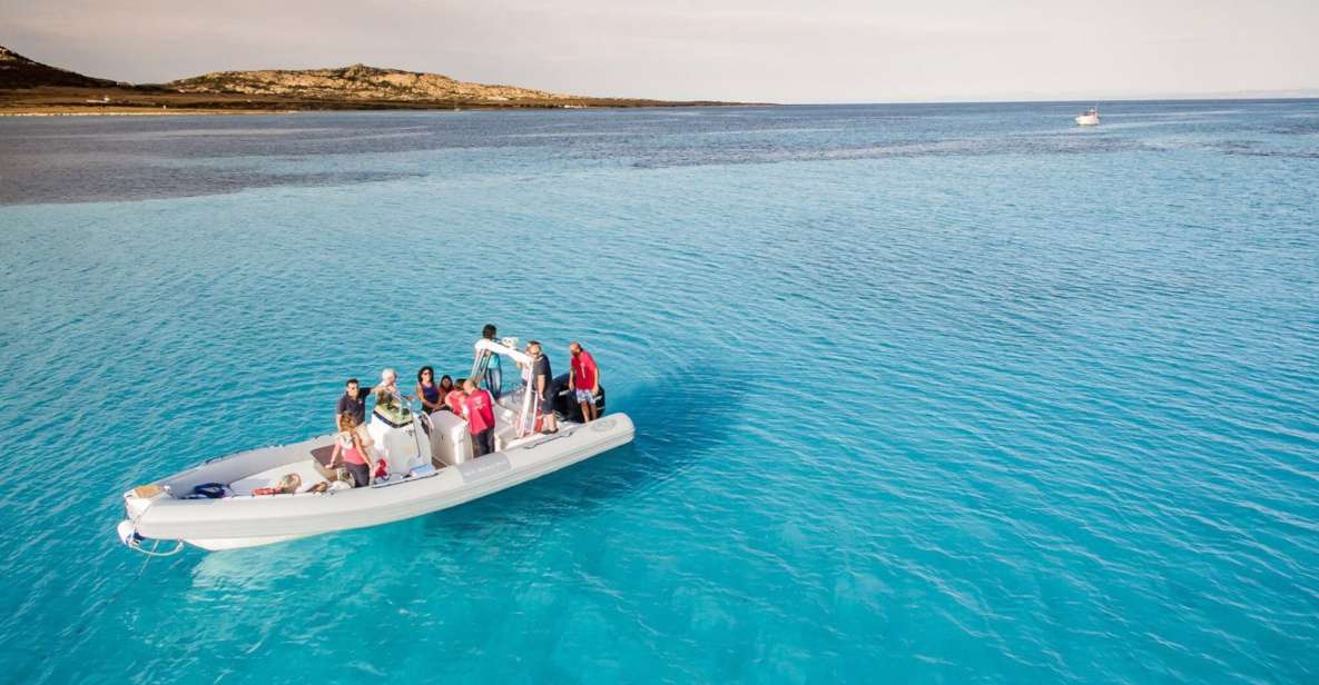 From Stintino: Half-day dinghy tour in Asinara Gulf - Key points to know before you go