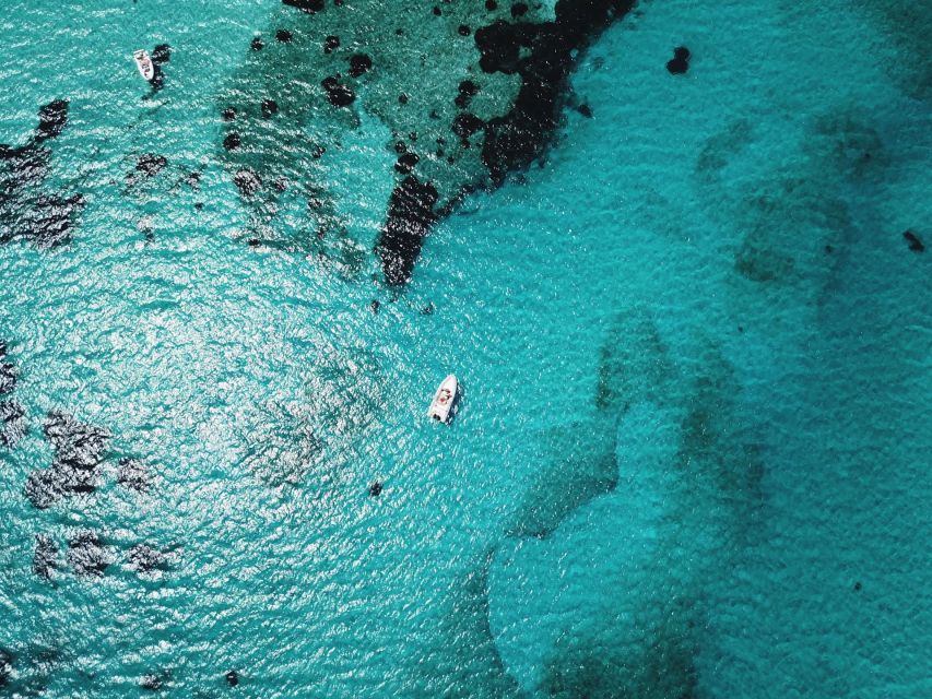 From Stintino: Half-day dinghy tour in Asinara Gulf - Should you book this Asinara dinghy tour?