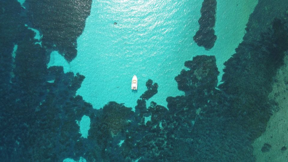 From Stintino: Half-day dinghy tour in Asinara Gulf - Swim stops explained: what each likely area is good for