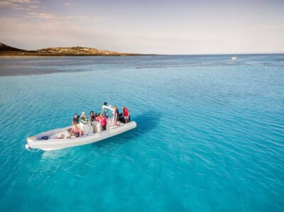 From Stintino: Half-day dinghy tour in Asinara Gulf - The Asinara Gulf experience: how the route stays flexible