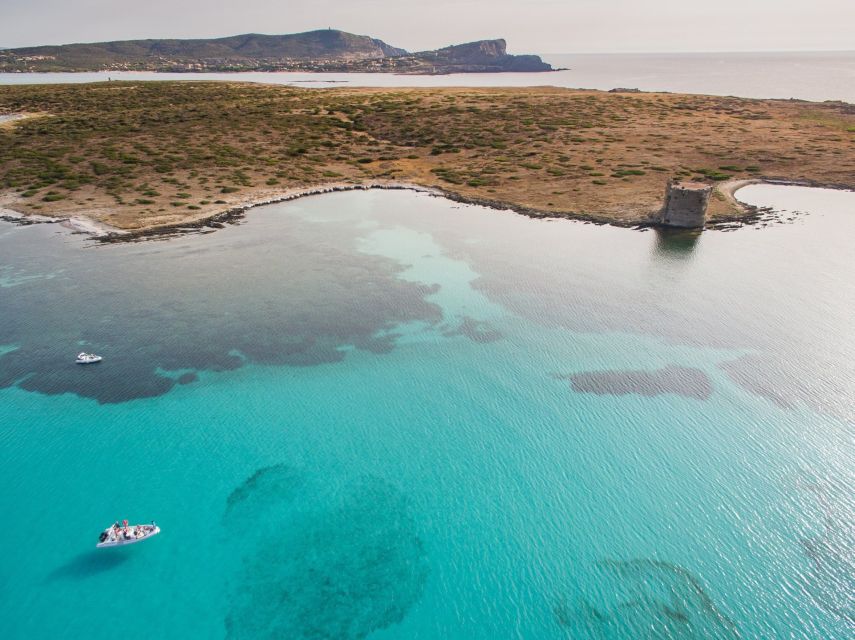 From Stintino: Half-day dinghy tour in Asinara Gulf - The boat: what “comfortable dinghy” means in real life
