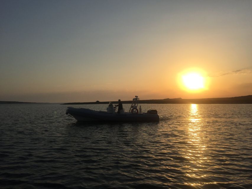 From Stintino: Half-day dinghy tour in Asinara Gulf - Price and value: is $56 worth it?