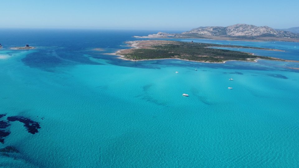 From Stintino: Half-day dinghy tour in Asinara Gulf - What to bring (and what to skip)