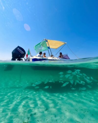 From Stintino: Half-Day Speedboat Tour to Asinara - Stop-by-Stop: What You’ll Do During the 3.5 Hours