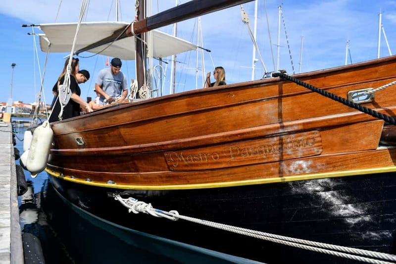 From Stintino: sailing trip to Asinara with Lunch - Who should book this sail (and who should rethink it)