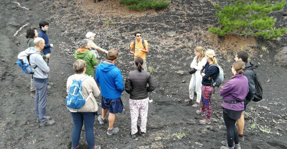 From Taormina: Full-Day Etna, Wine & Alcantara Canyons Tour - Key highlights you’ll feel fast