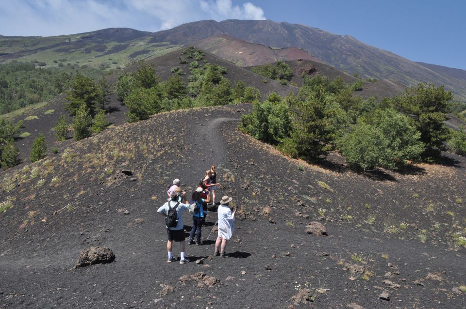 From Taormina: Full-Day Etna, Wine & Alcantara Canyons Tour - Etna Craters at 2,000 Meters: What This Day Gets Right