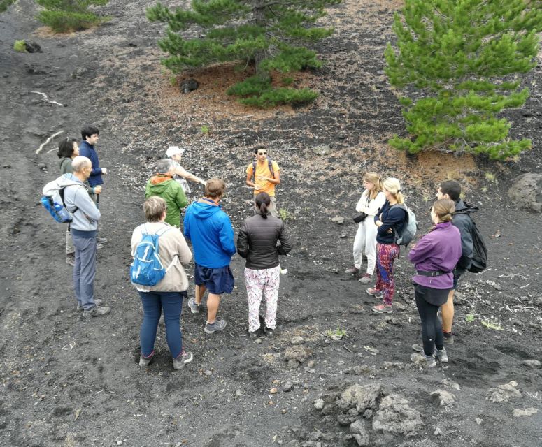 From Taormina: Full-Day Etna, Wine & Alcantara Canyons Tour - The 2-hour hike: extinct craters and lava paths (with boots and sticks)