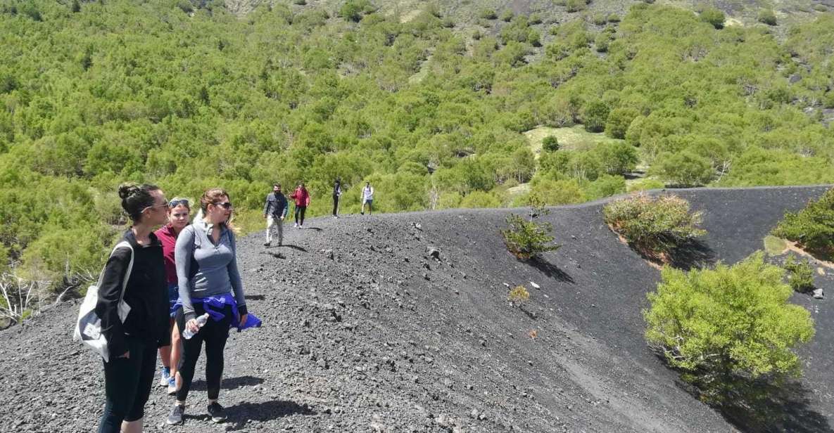 From Taormina: Half-Day Mount Etna Morning Trek - Key things that make this Etna trek work