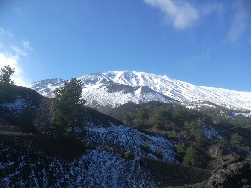 From Taormina: Half-Day Mount Etna Morning Trek - Price and value: what you’re really paying for at $106