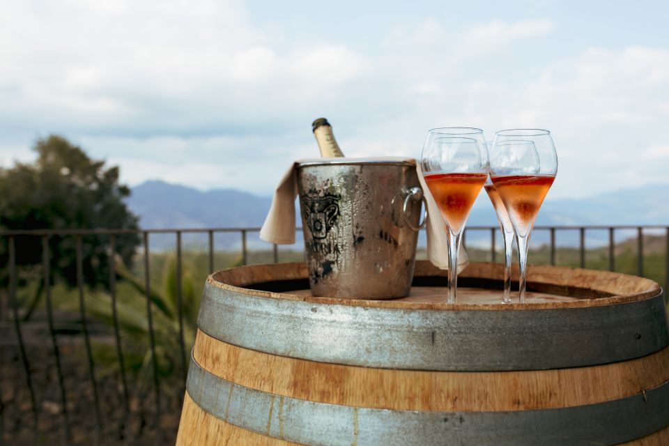 From Taormina: Mount Etna Food and Wine Tasting Tour - Who should book the Mount Etna food and wine tour?