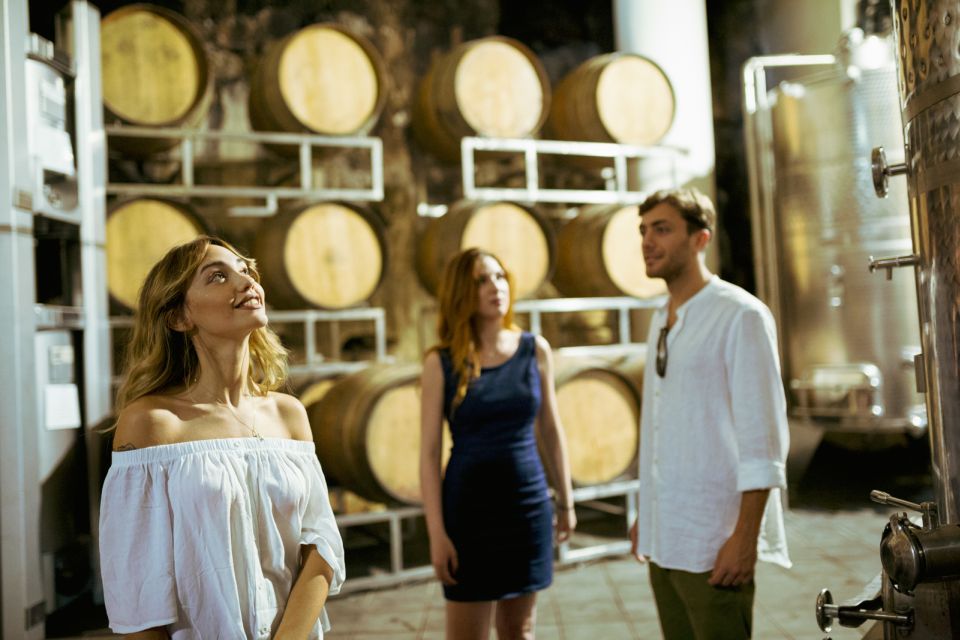 From Taormina: Mount Etna Food and Wine Tasting Tour - FAQ