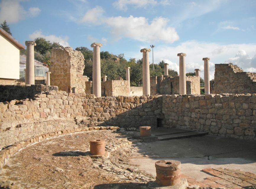 From Taormina: Valley of The Temples & Piazza Armerina Tour - What to bring (and what to avoid) for a smoother day