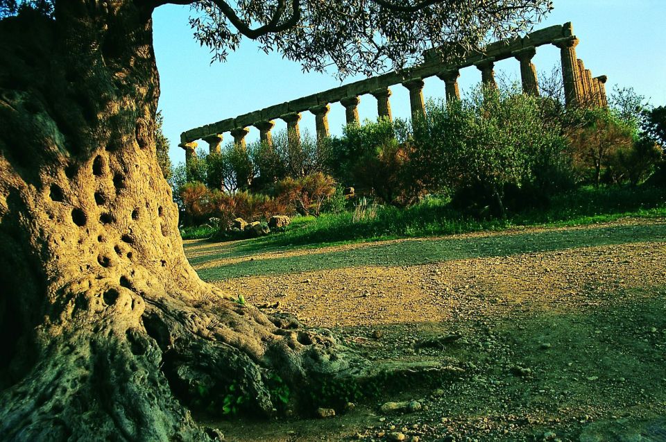From Taormina: Valley of The Temples & Piazza Armerina Tour - Should you book the Taormina Valley of the Temples & Piazza Armerina tour?