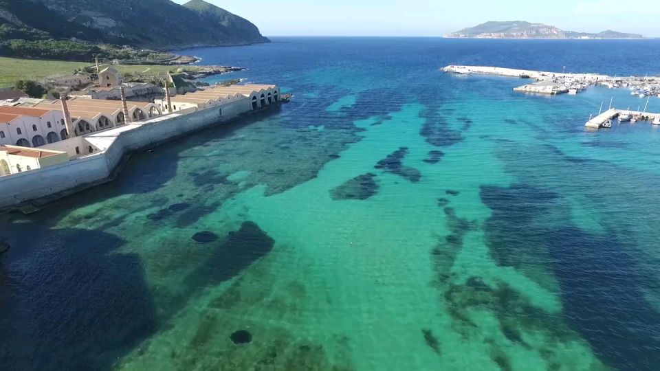 From Trapani: Day Cruise to Favignana & Levanzo with Lunch - Price and Value: what $46 buys you (and what to expect)