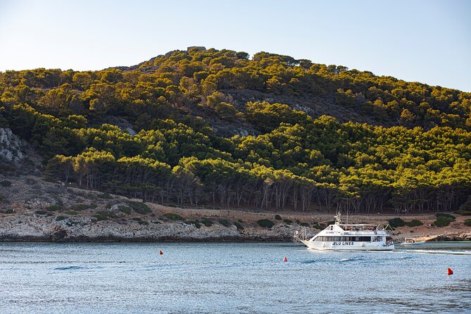 From Trapani: Egadi Islands tour with lunch on board - How to Plan Your Day So You Don’t Feel Rushed
