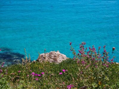 From Trapani: Favignana and Levanzo Shuttle Tour - Favignana’s 4 hours: how to use your free time well