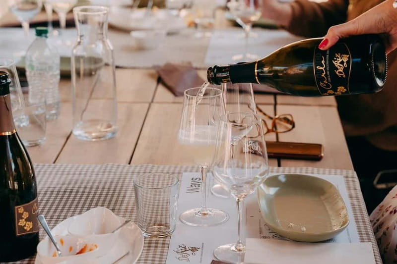 From Venice: Prosecco Hills and Wine Tasting Tour - Who this Prosecco hills tour fits best