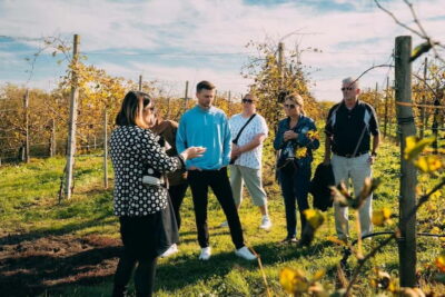 From Venice: Prosecco Hills and Wine Tasting Tour - Two family wineries and two tastings: how you get better than a quick sip