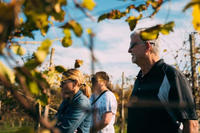 From Venice: Prosecco Hills and Wine Tasting Tour - Stop 2 in Conegliano: meet the winemaker and learn the Charmat method