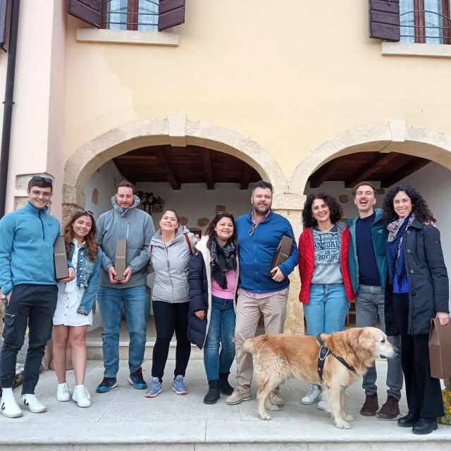 From Verona: Amarone Half-Day Wine Tasting Tour - Key Highlights at a Glance