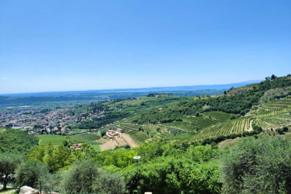 From Verona: Amarone Half-Day Wine Tasting Tour - San Giorgio di Valpolicella: The Picture-Perfect Stop That Teaches Context