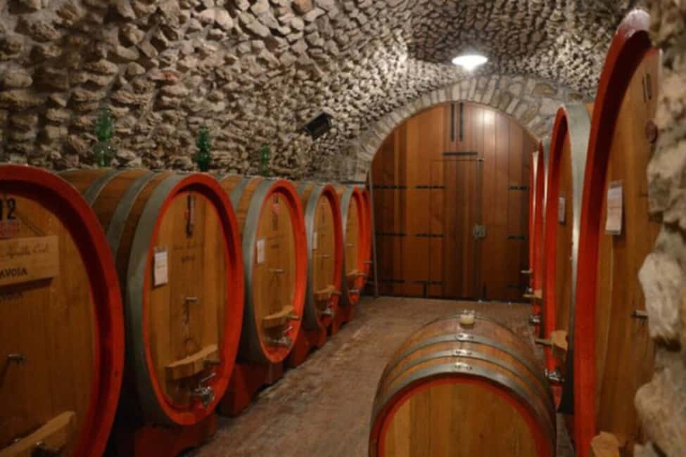 From Verona: Amarone Half-Day Wine Tasting Tour - In the Cool Cellar: What the Four-Wine Flight Actually Tells You