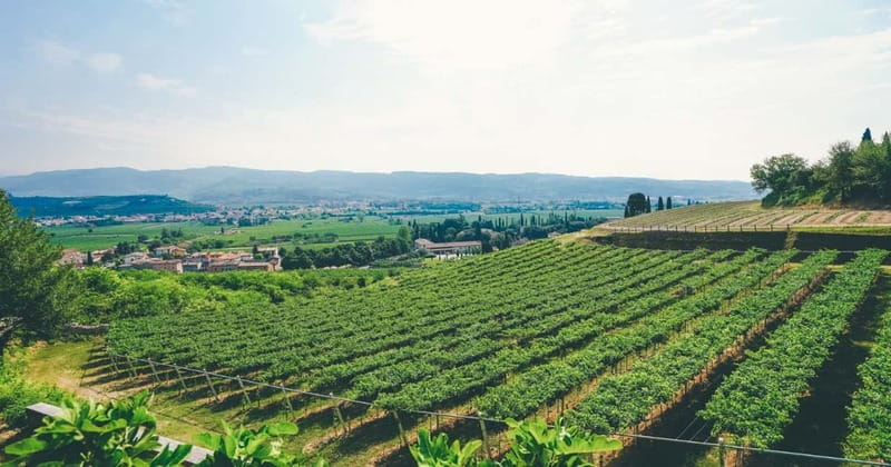 From Verona: Amarone Wine E-Bike Tour with Tasting - Cycling from Verona into the Vineyards: Views, Fresh Air, and Real Country Roads