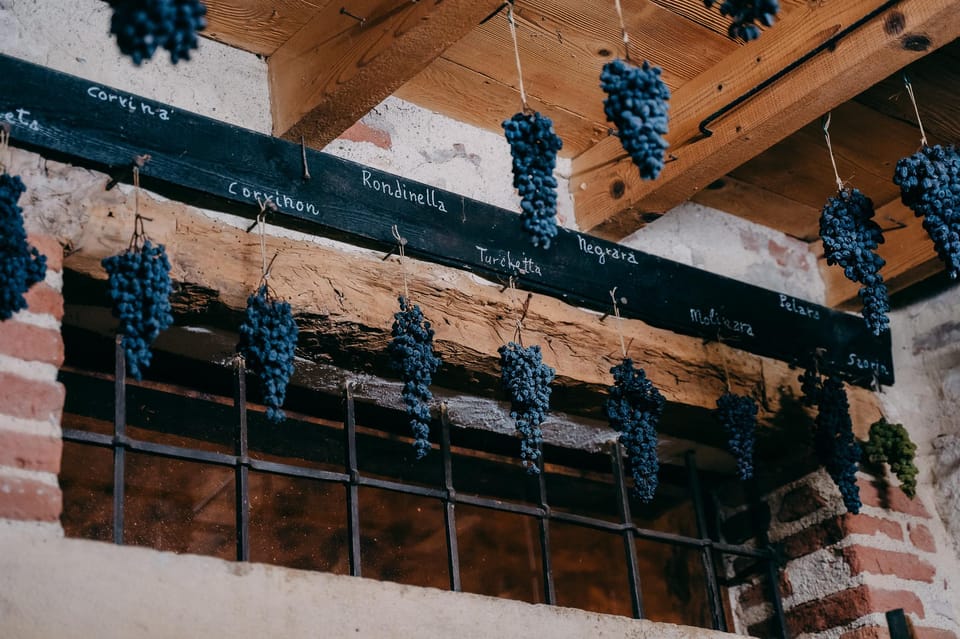 From Verona: Valpolicella and Amarone Wine Tasting Tour - Value for Money: Is $112.15 Worth It?