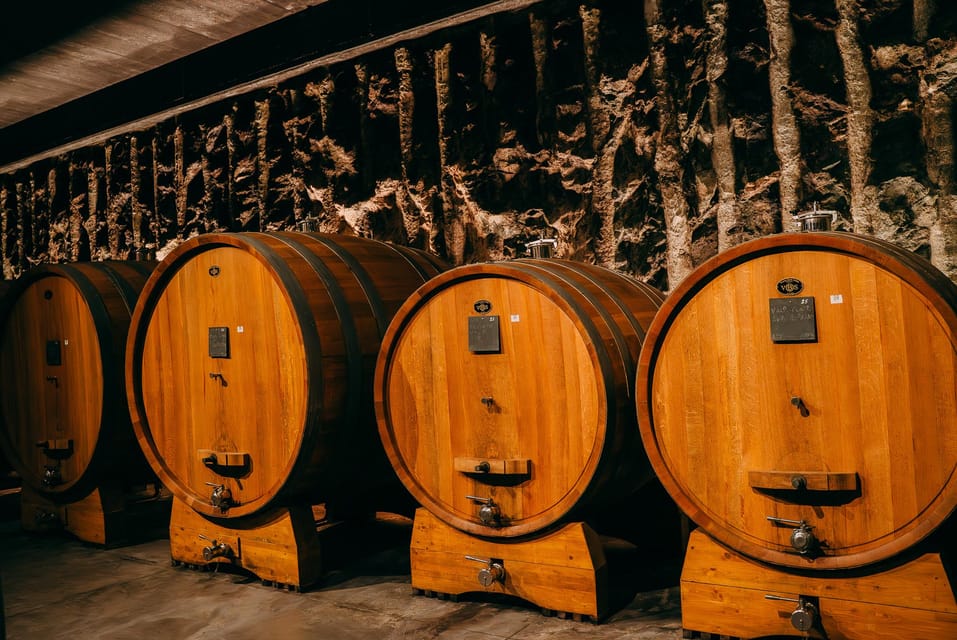 From Verona: Valpolicella and Amarone Wine Tasting Tour - The Van Ride: 30 Minutes of Wine Talk and Valley Views