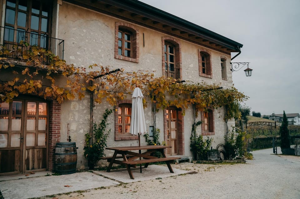 From Verona: Valpolicella and Amarone Wine Tasting Tour - First Cellar Visit (About 1.5 Hours): Cellars, Production, and Your First Big Tasting