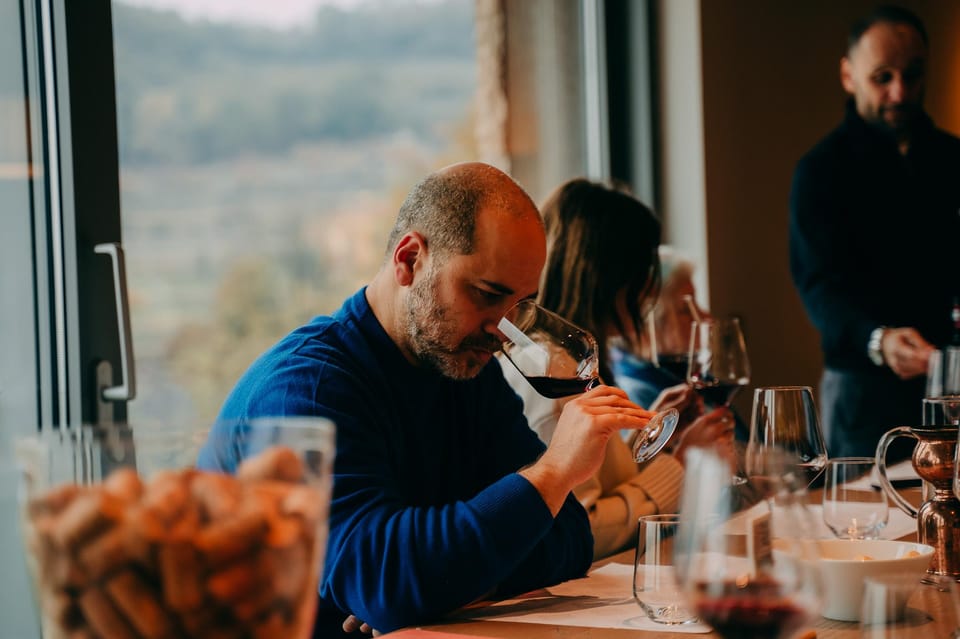 From Verona: Valpolicella and Amarone Wine Tasting Tour - Photography Break: Vineyards and Gardens Time