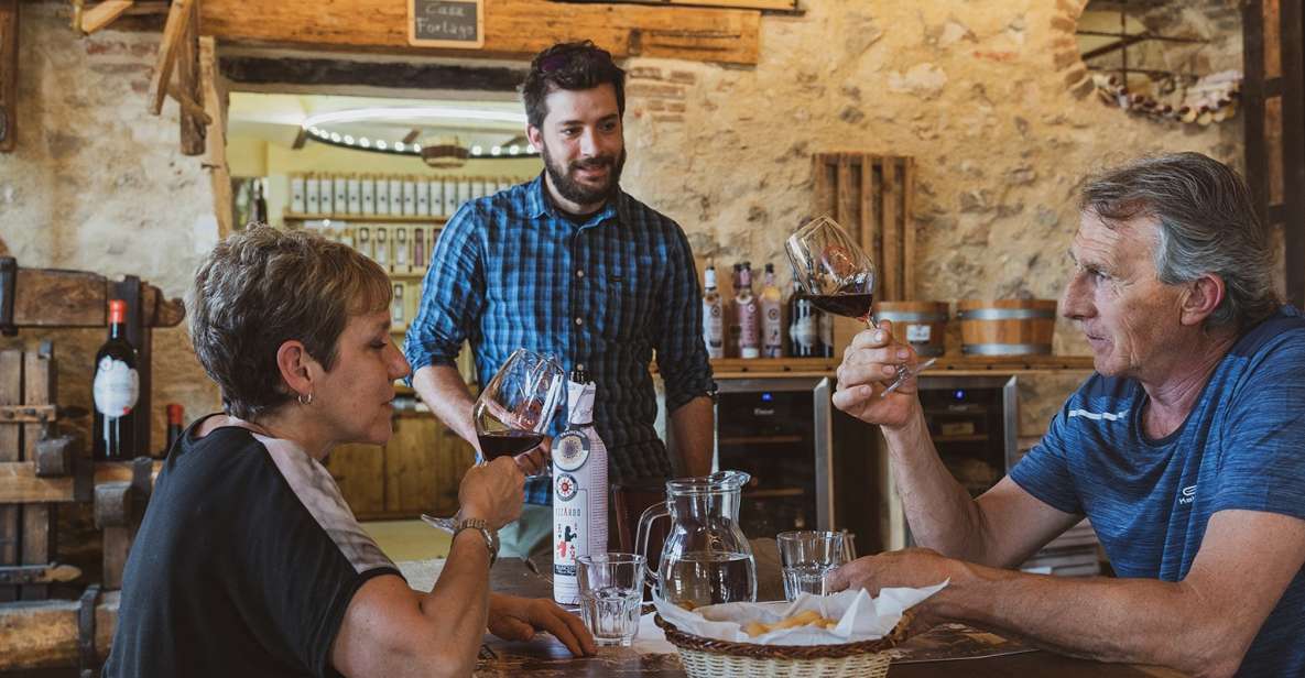 From Verona: Valpolicella Winery Tour with Amarone Vintages - Key highlights