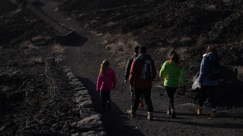 Full-Day Etna and Wine Tour from Catania - Who should book this Etna and wine day trip