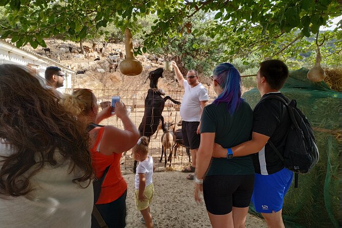 Full-Day Jeep Safari Tour with Cooking Lesson - Lasithi Plateau Windmills: The Stone Sails That Used to Pump Water