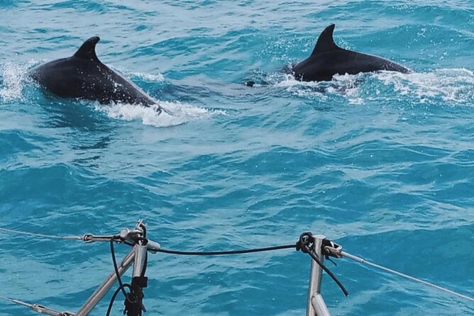 Full Day Sailing Tour Catania-Acitrezza - Snorkeling and Swim Time: Gear Provided, Choose Your Level